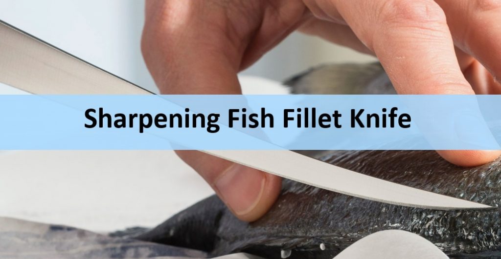 How to Sharpen a Fillet Knife Correctly (With Videos)